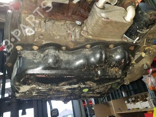 Engine FORD TRANSIT CUSTOM V362 Van (FY, FZ)  | BP32070017M1 