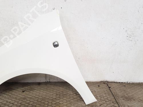 Left front fenders SKODA FABIA II Combi (545) 1.6 TDI | BP28501101C41 