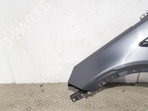 Left front fenders LAND ROVER DISCOVERY SPORT (L550) 2.0 D 4x4 | BP29642147C41 