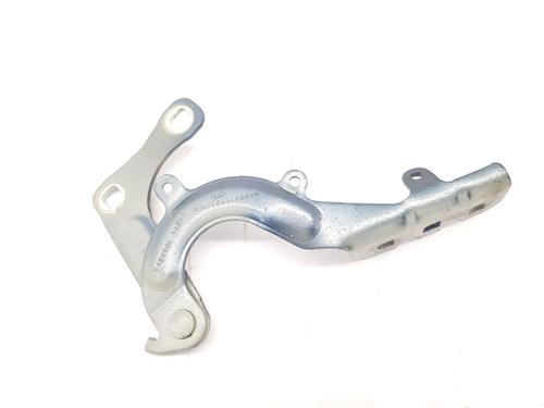 Hinge/Door check strap FORD FIESTA VII (HJ, HF)  | BP31691104C146 