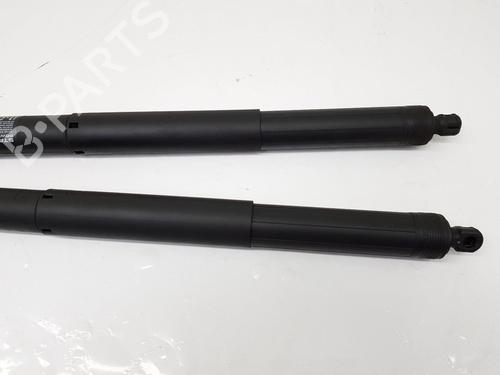 Tailgate lift support BMW X5 (F15, F85) xDrive 30 d | BP22678428C138 