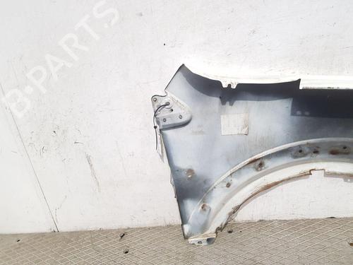 Left front fenders FORD TRANSIT CONNECT (P65_, P70_, P80_) 1.8 TDCi | BP29440338C41 