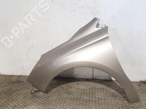 left-front-fenders-citroen-c4-ii-nc_-2009-32787329 main image