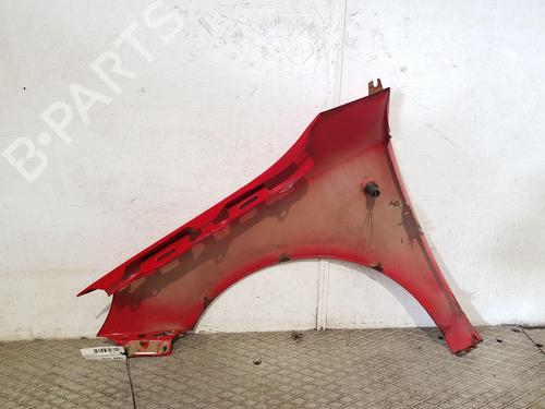 Right front fenders SKODA FABIA II (542) 1.6 TDI | BP29957300C42