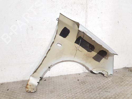 Left front fenders KIA PICANTO I (SA) 1.1 | BP24478455C41 