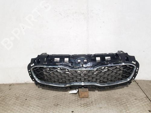 Used Grille KIA SPORTAGE IV (QL, QLE) 1.6 GDI (132 hp) 30364862