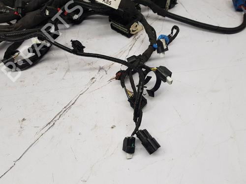 Ledningsnet FORD KUGA III (DFK)  | BP31027213E16 