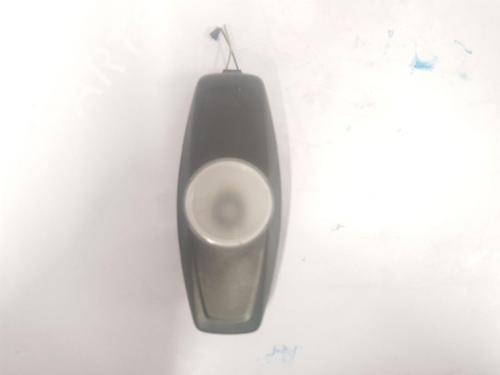 Interior roof light FORD FOCUS III 1.0 EcoBoost | BP31346537I8 