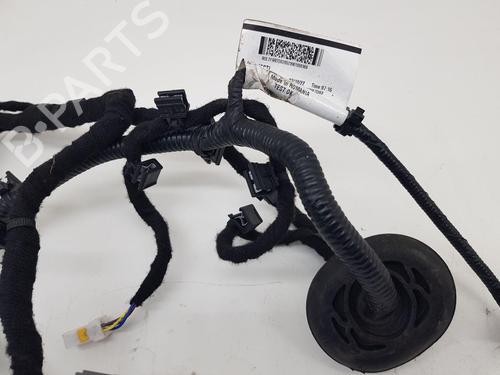 Wiring harness LOTUS EMIRA 3.5 | BP31603699E16 