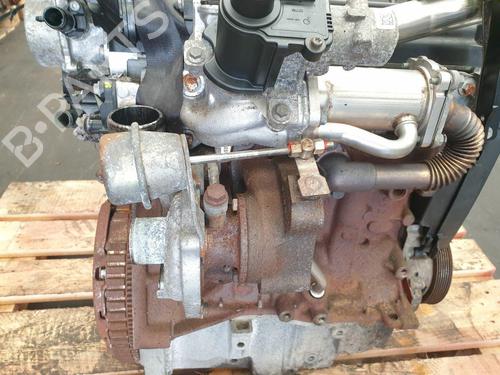 Engine RENAULT CLIO III (BR0/1, CR0/1) 1.5 dCi (BR17, CR17) | BP27550121M1