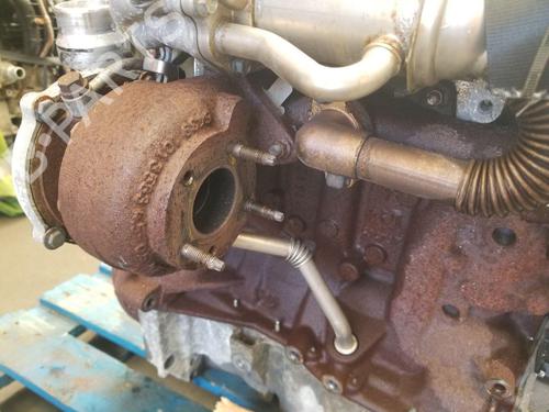 Engine RENAULT MEGANE III Coupe (DZ0/1_) 1.5 dCi (DZ0B) | BP37604844M1 - Image 9