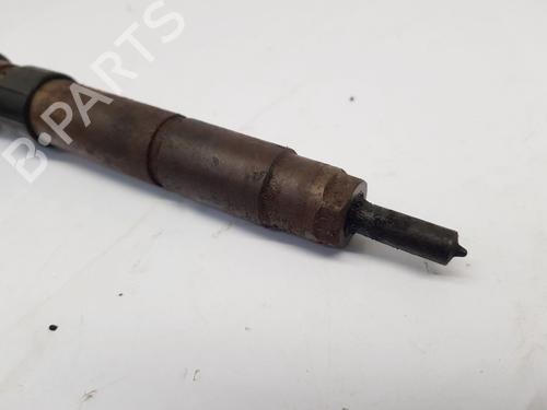 Injector LAND ROVER FREELANDER 2 (L359) 2.2 TD4 4x4 | BP32252047M100
