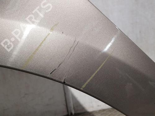 Left front fenders RENAULT CLIO III (BR0/1, CR0/1) 1.5 dCi (BR17, CR17) | BP30309687C41 