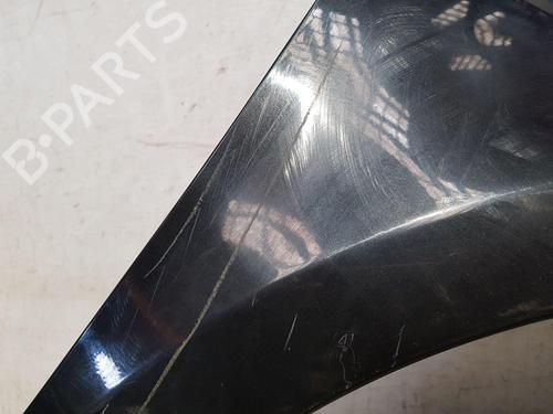 Right front fenders RENAULT CLIO III (BR0/1, CR0/1) 1.5 dCi (BR17, CR17) | BP27330358C42 