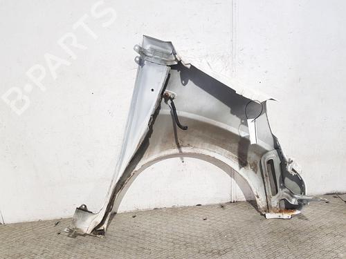 Left front fenders CITROËN NEMO Box Body/MPV (AA_) 1.3 HDi 75 | BP29549415C41 