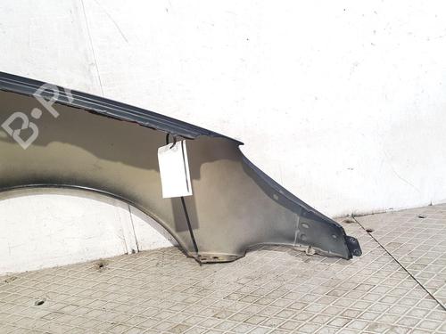 Left front fenders PEUGEOT 206 Hatchback (2A/C) 1.4 HDi eco 70 | BP27166833C41 