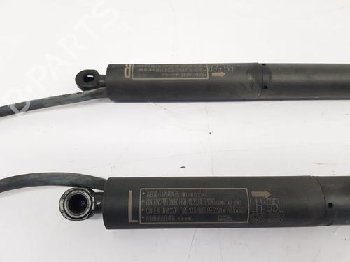 Tailgate lift support LEXUS UX (_AA1_, _AH1_, _MA1_) 250h (MZAH10) | BP30045252C138 