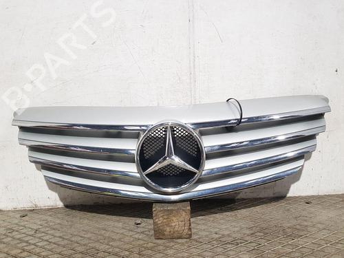 grille-mercedes-benz-b-class-sports-tourer-w245-2005-2006-2007-2008-2009-2010-2011-31053751 main image