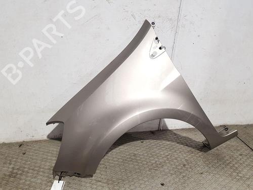 Left front fenders RENAULT CLIO III (BR0/1, CR0/1) 1.5 dCi (BR17, CR17) | BP30309687C41 