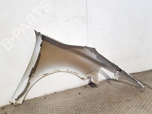 Left front fenders CITROËN C4 Picasso II 1.6 BlueHDi 120 | BP27811354C41 