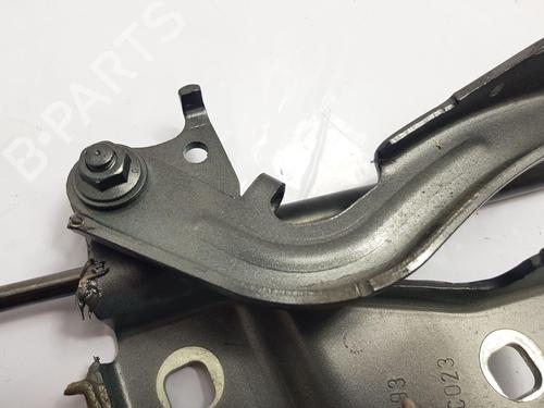 Hinge/Door check strap ALFA ROMEO GIULIA (952_)  | BP23966196C146 