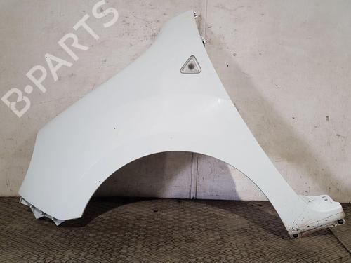 Used Left front fenders RENAULT KANGOO Express (FW0/1_) 1.5 dCi 75 (FW07, FW10, FW04) (75 hp) 22206883
