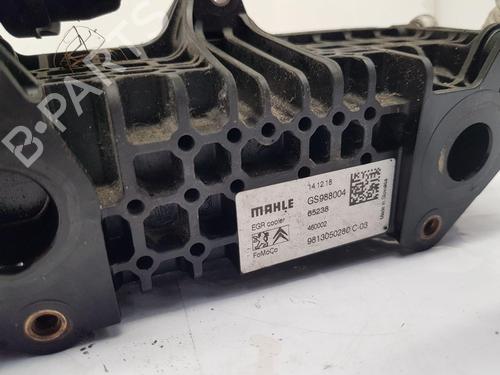 Egr PEUGEOT 3008 II SUV (MC_, MR_, MJ_, M4_) 1.5 BlueHDi 130 | BP29292636M69 