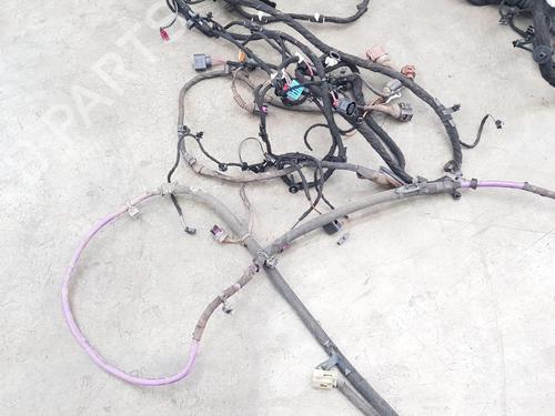 Wiring harness AUDI Q8 (4MN, 4MT) RS FSI Mild Hybrid quattro | BP29440062E16 