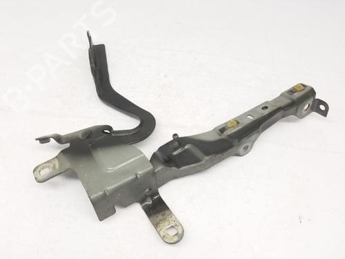 Hinge/Door check strap RENAULT CLIO IV (BH_) 1.2 16V | BP22672194C146 