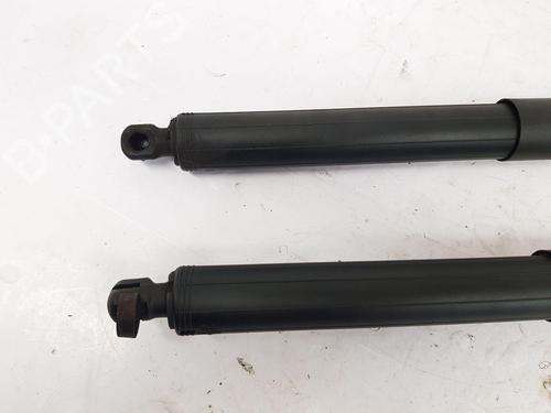 Tailgate lift support BMW X1 (F48) sDrive 18 d | BP28362885C138 
