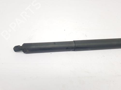 Tailgate lift support AUDI Q3 (8UB, 8UG)  | BP23053883C138 