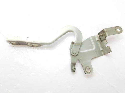 Hinge/Door check strap RENAULT CLIO IV (BH_) 1.2 16V | BP27455369C146 