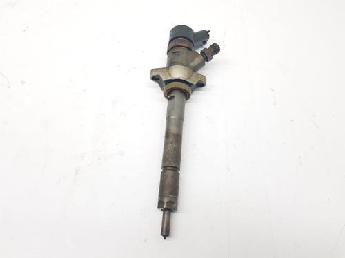 Used Injector FORD FIESTA V (JH_, JD_) 1.6 TDCi (90 hp) 32069902