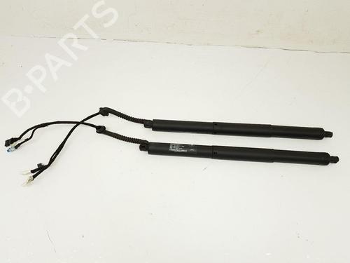 Tailgate lift support BMW X5 (F15, F85) xDrive 30 d | BP22678428C138 