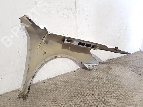 Left front fenders SKODA OCTAVIA II (1Z3) 2.0 TDI 16V | BP27186552C41 