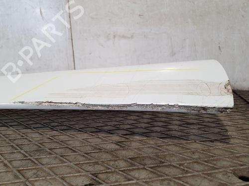 Door moulding trim MCLAREN 570S 3.8 | BP22675653C150 