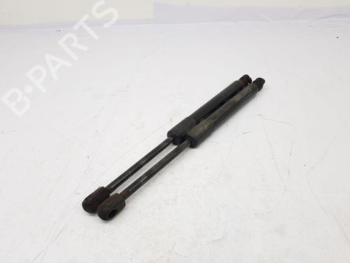 Tailgate lift support TESLA MODEL 3 (5YJ3) EV AWD | BP33966727C138  - Image 6