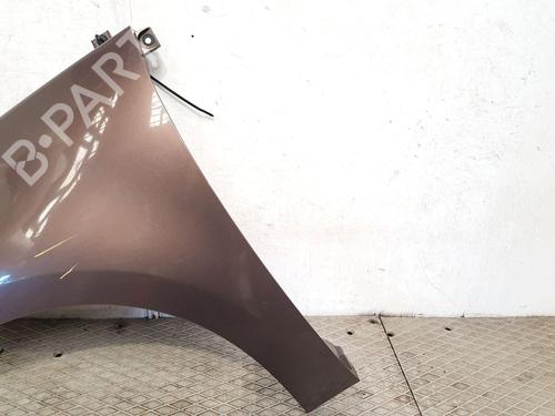 Left front fenders RENAULT SCÉNIC III (JZ0/1_) 1.5 dCi | BP27150789C41 