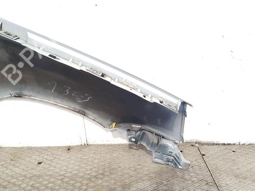 Left front fenders NISSAN X-TRAIL I (T30) 2.2 dCi 4x4 | BP28482789C41 