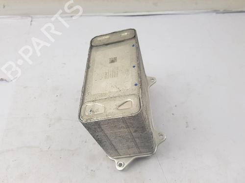 Other TESLA MODEL Y (5YJY) Long Range Rear-Wheel Drive | BP39072559O1 - Image 2