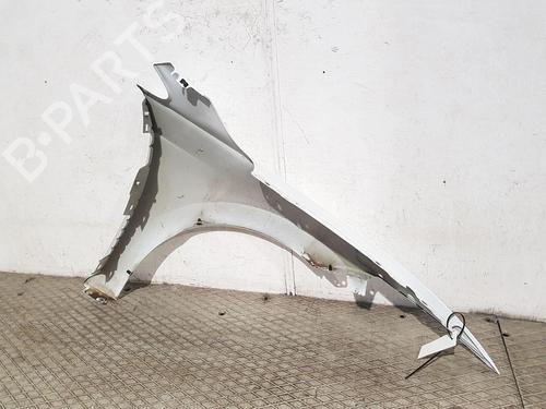 Forskærm venstre VW GOLF VIII (CD1, DA1) 2.0 TDI | BP31346357C41 