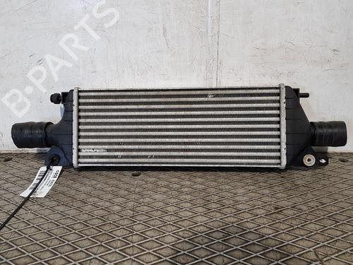 Used Intercooler SUZUKI SX4 (EY, GY) 2.0 DDiS 4x4 (RW420D) (135 hp) 22208507