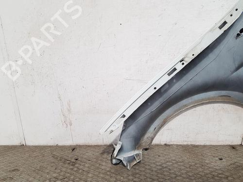 Right front fenders RENAULT CLIO III (BR0/1, CR0/1) 1.2 16V (BR02, BR0J, BR11, CR02, CR0J, CR11) | BP27166990C42 