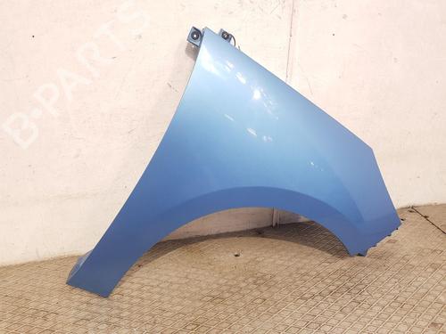 Right front fenders RENAULT SCÉNIC III (JZ0/1_) 1.5 dCi | BP25838954C42 