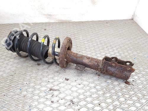 right-front-shock-absorber-ford-ecosport-2011-2012-2013-2014-2015-2016-2017-2018-2019-2020-2021-2022-25461798 main image