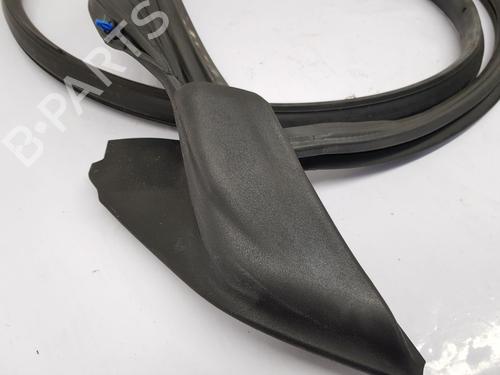 Rubber door seal AUDI R8 (4S3, 4SP) 5.2 FSI Plus quattro | BP22674047C142 