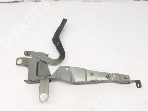 Hinge/Door check strap RENAULT CLIO IV (BH_) 1.2 16V | BP22672194C146 