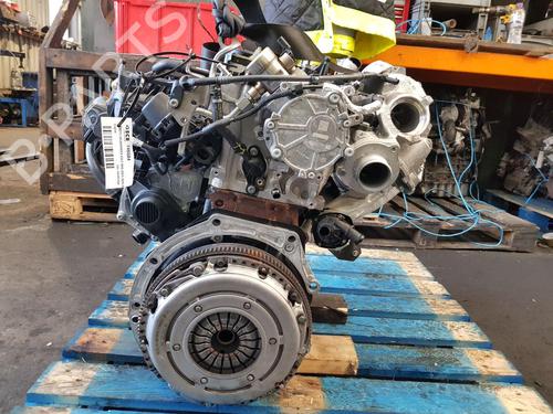 Engine VW GOLF VIII (CD1, DA1) 2.0 TDI | BP30649982M1 