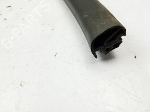 Rubber door seal AUDI R8 (4S3, 4SP) 5.2 FSI Plus quattro | BP22682189C142 
