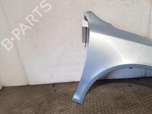 Right front fenders SKODA OCTAVIA II (1Z3) 1.9 TDI | BP22203024C42 